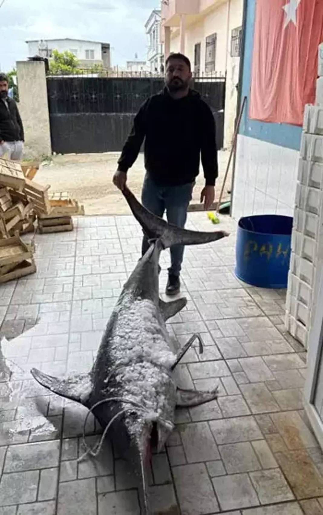 Yakaladıkları 150 kg ağırlığındaki kılıç balığını restorana rekor fiyata sattılar! Görenlerin ağzı açık kaldı 2